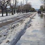 «El granizo en San Carlos afectó a muchos productores» Alejandro Morillas