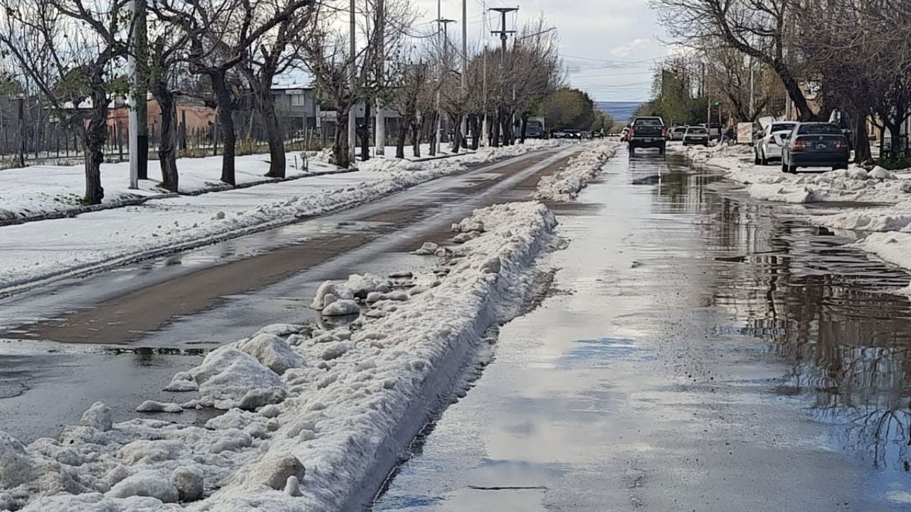 Fondo