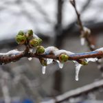 Sergio Manrique- Periodista de San Juan