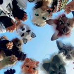 Lic. Beatriz Golberg- Psicóloga y escritora