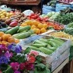 María Santiano- Puesto «Las Chicas» en Mercado Cooperativo de Guaymallén